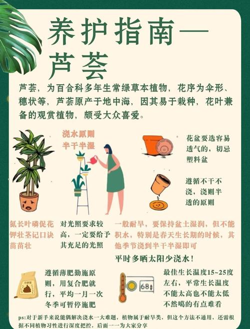 芦荟掐断种植方法