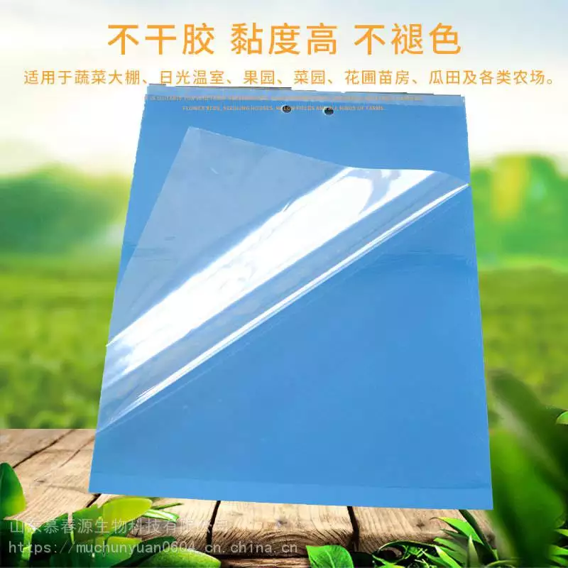 It's the market price for the beetles