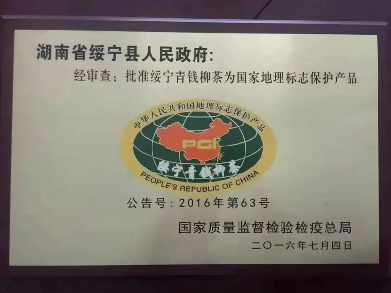 青钱柳种植技术