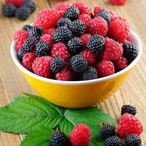 What kind of fruit tree is the most profitable now