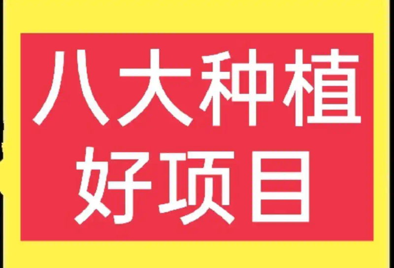 What kind of fruit tree is the most profitable now