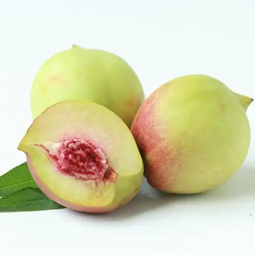 What kind of fruit tree is the most profitable now