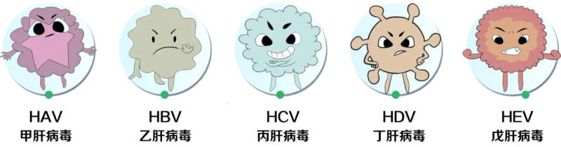 肝炎宣传知识