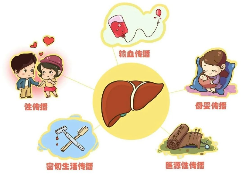 肝炎宣传知识