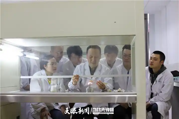 茶树菇如何种植技术