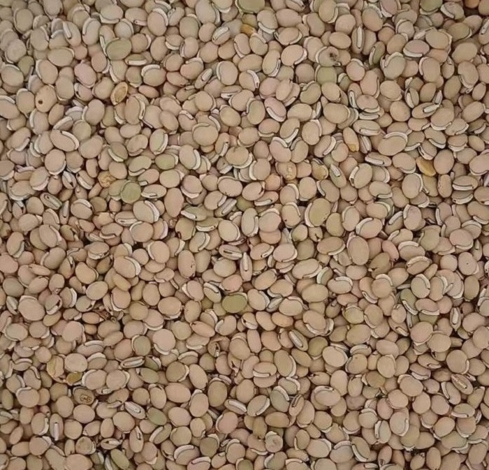 扁豆的种植方法