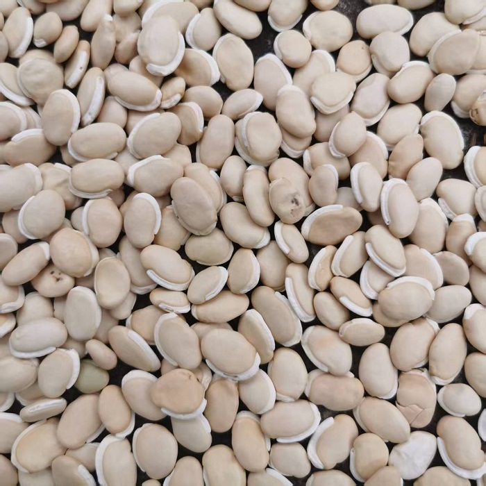 扁豆的种植方法