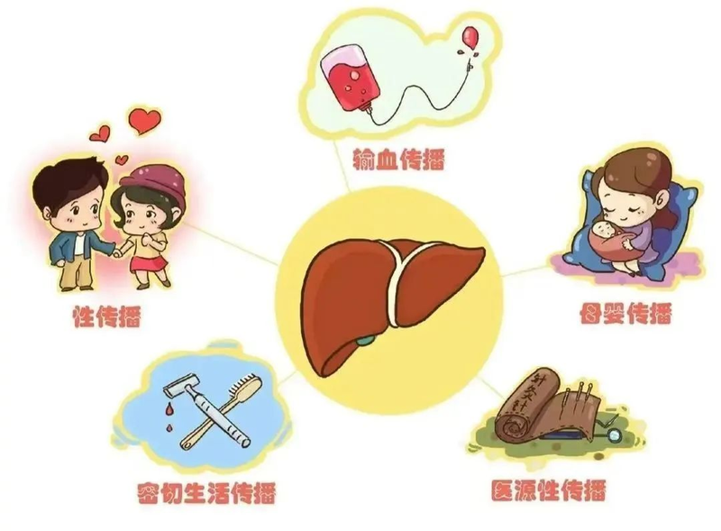 肝炎宣传知识