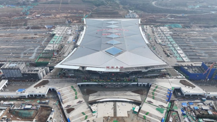 土党参的种植方法