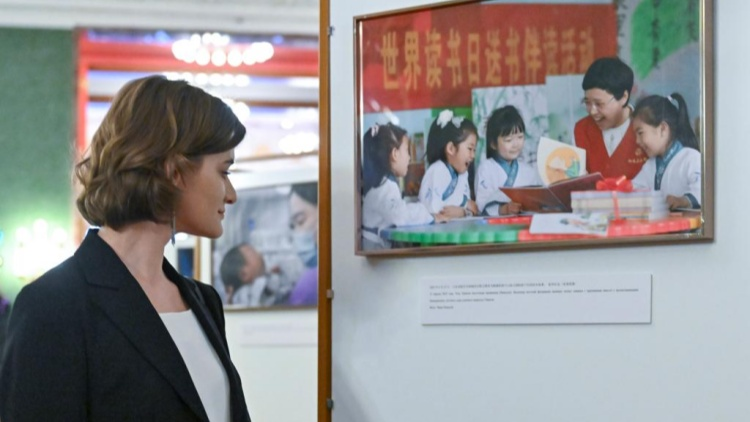 土党参的种植方法