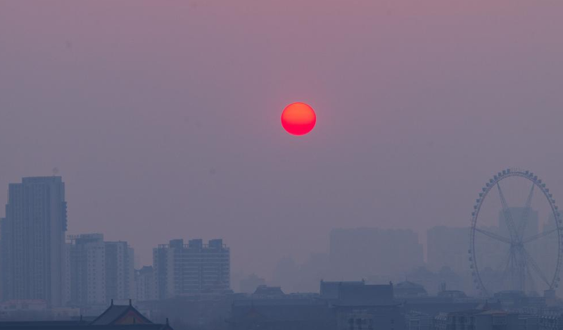 土党参的种植方法