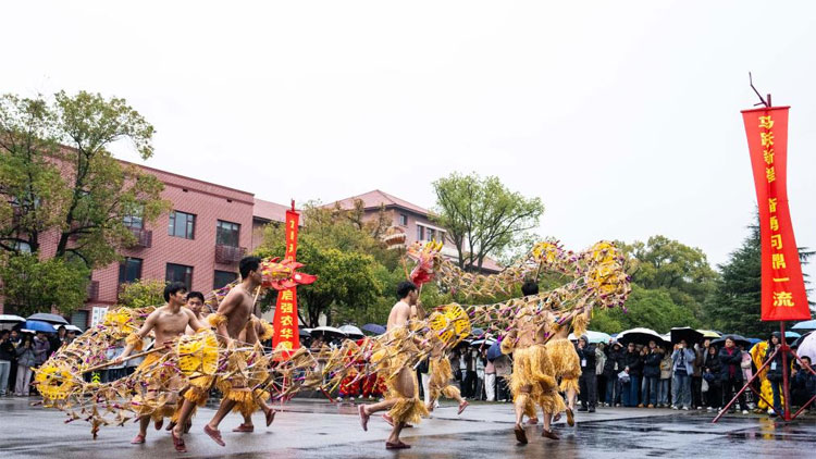 土党参的种植方法