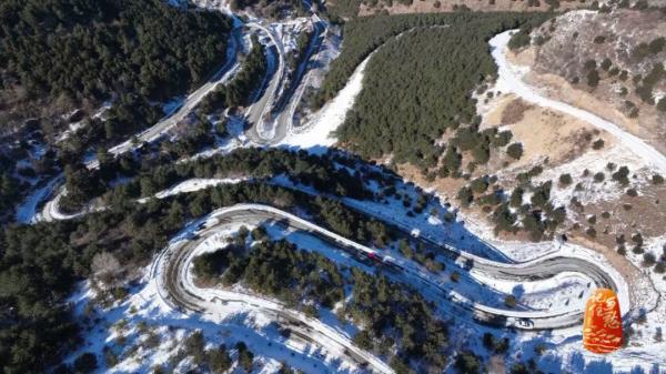 土党参的种植方法