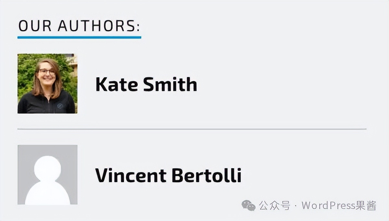 wordpress seo教程网