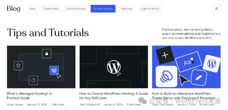 wordpress seo教程网