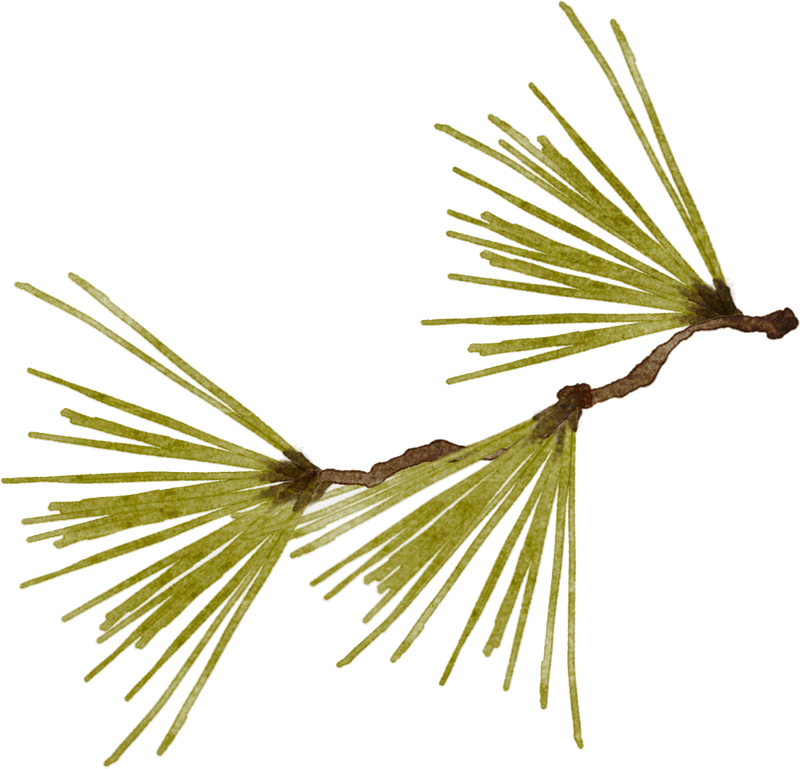 Various fruit seed-planting methods