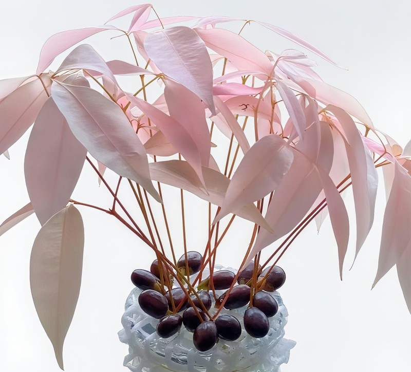 Various fruit seed-planting methods