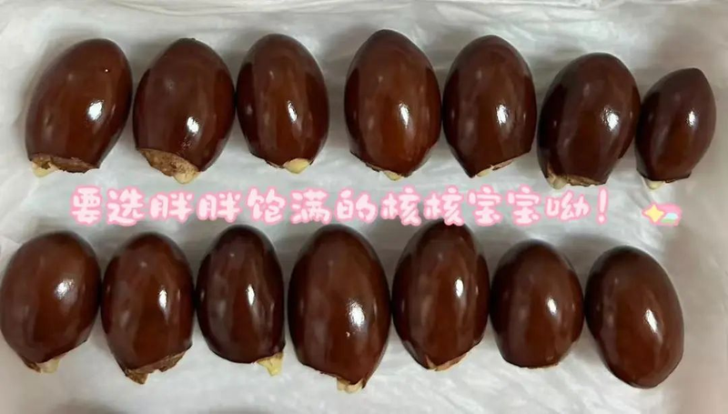 Various fruit seed-planting methods