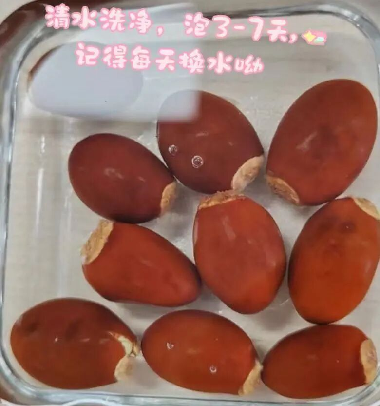 Various fruit seed-planting methods