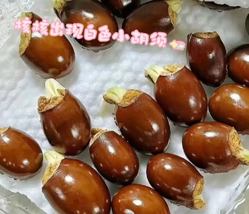 Various fruit seed-planting methods