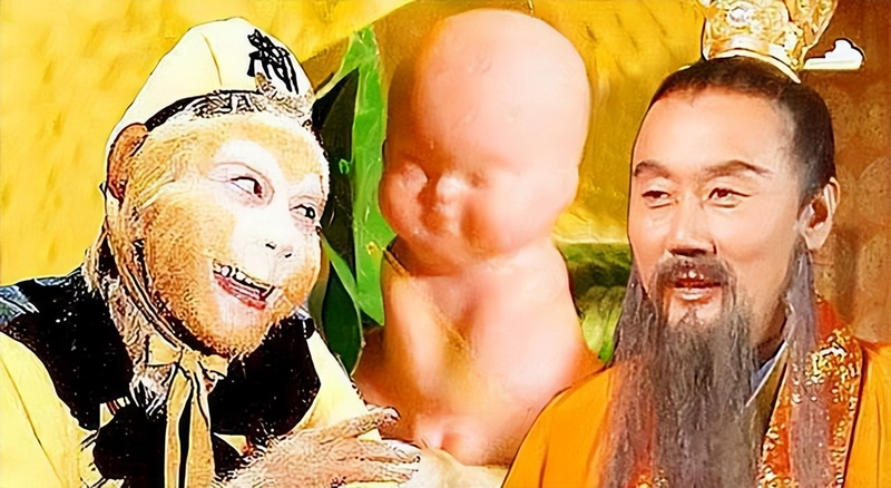 Man-camel fruit, fruit-planting techniques