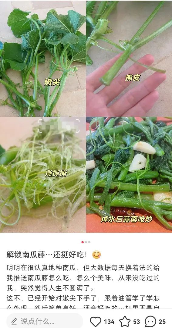 无蔓南瓜种植技术