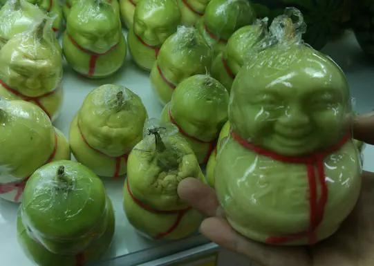 人参果，娃娃水果树种植技术