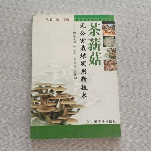 How to grow tea mushrooms