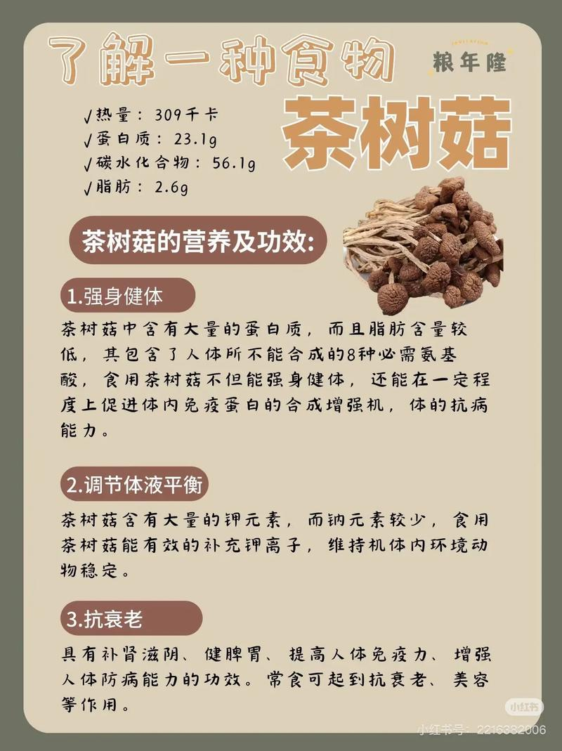 How to grow tea mushrooms