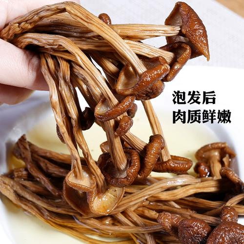 How to grow tea mushrooms