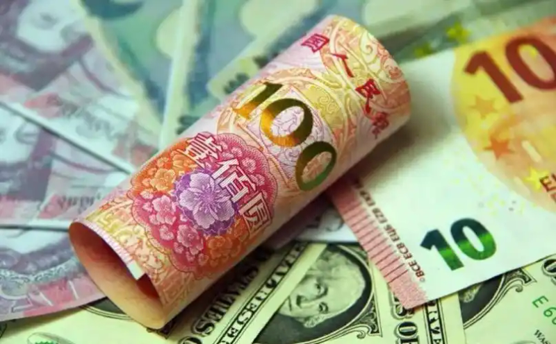 Impact of the devaluation of the renminbi against the united states dollar on domestic prices