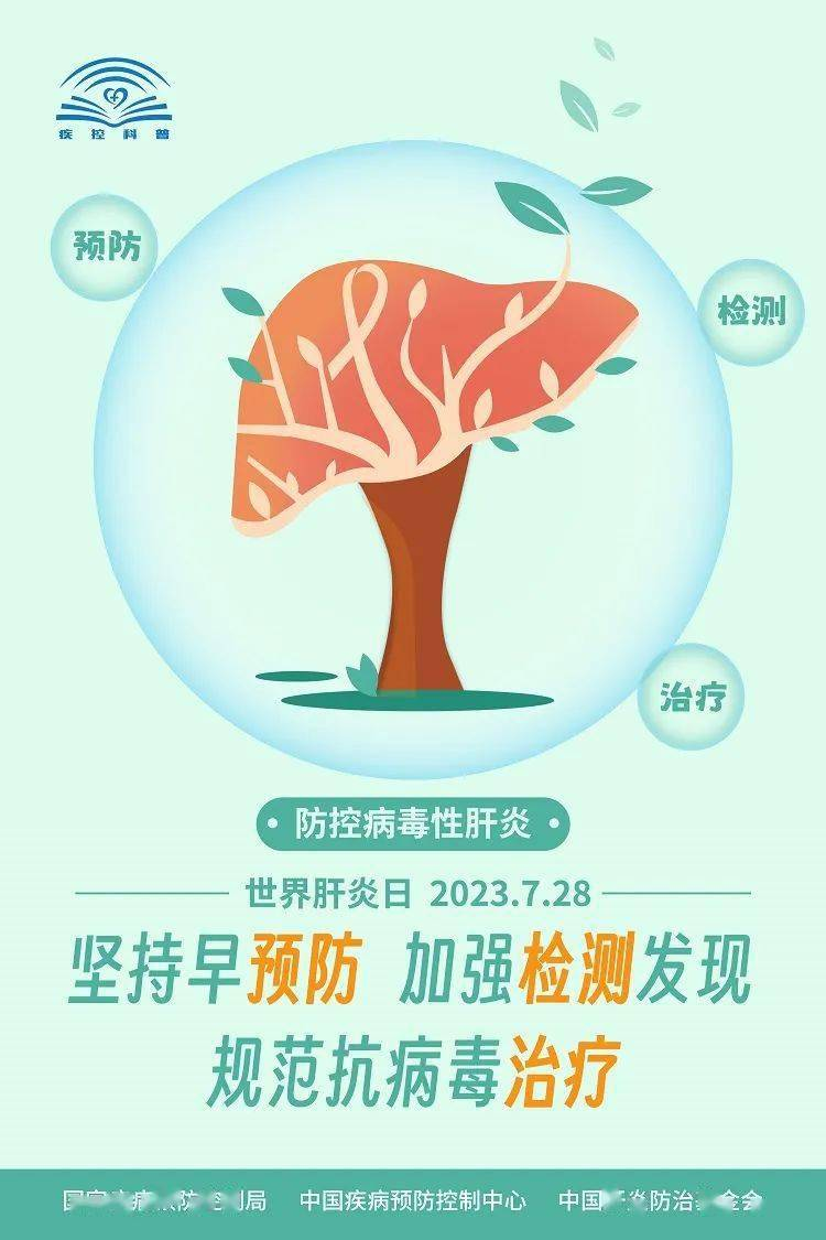 肝炎宣传知识