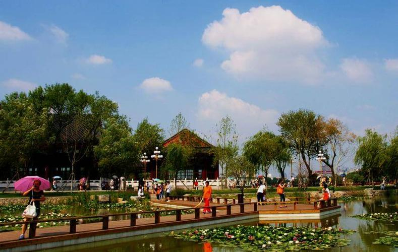 Technology for the cultivation of flowers