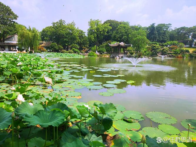 Technology for the cultivation of flowers