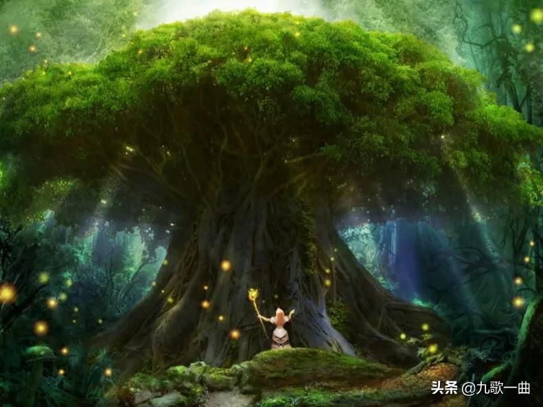 Man-camel fruit, fruit-planting techniques