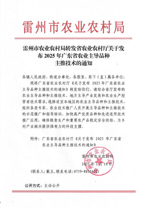 紫皮大蒜种植技术视频