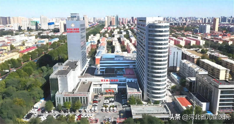 石家庄网站优化招聘