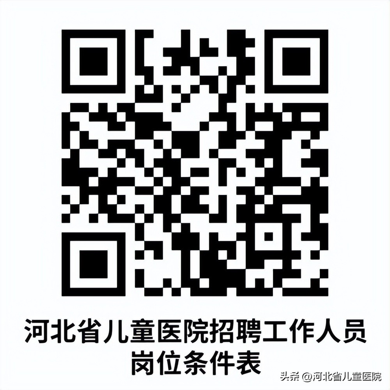 石家庄网站优化招聘