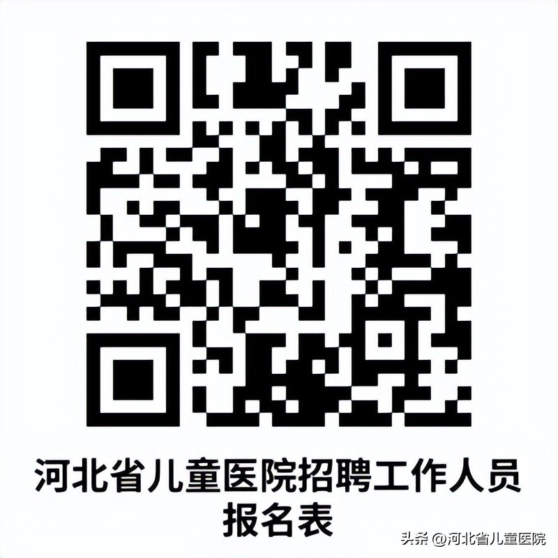 石家庄网站优化招聘