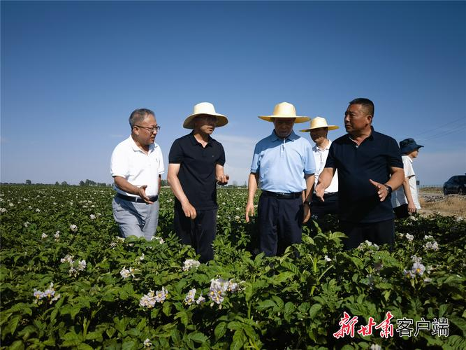 土党参的种植方法