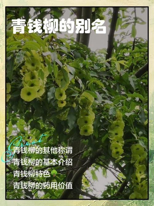 Amalgamation techniques