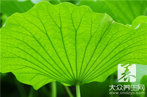 Technology for the cultivation of flowers