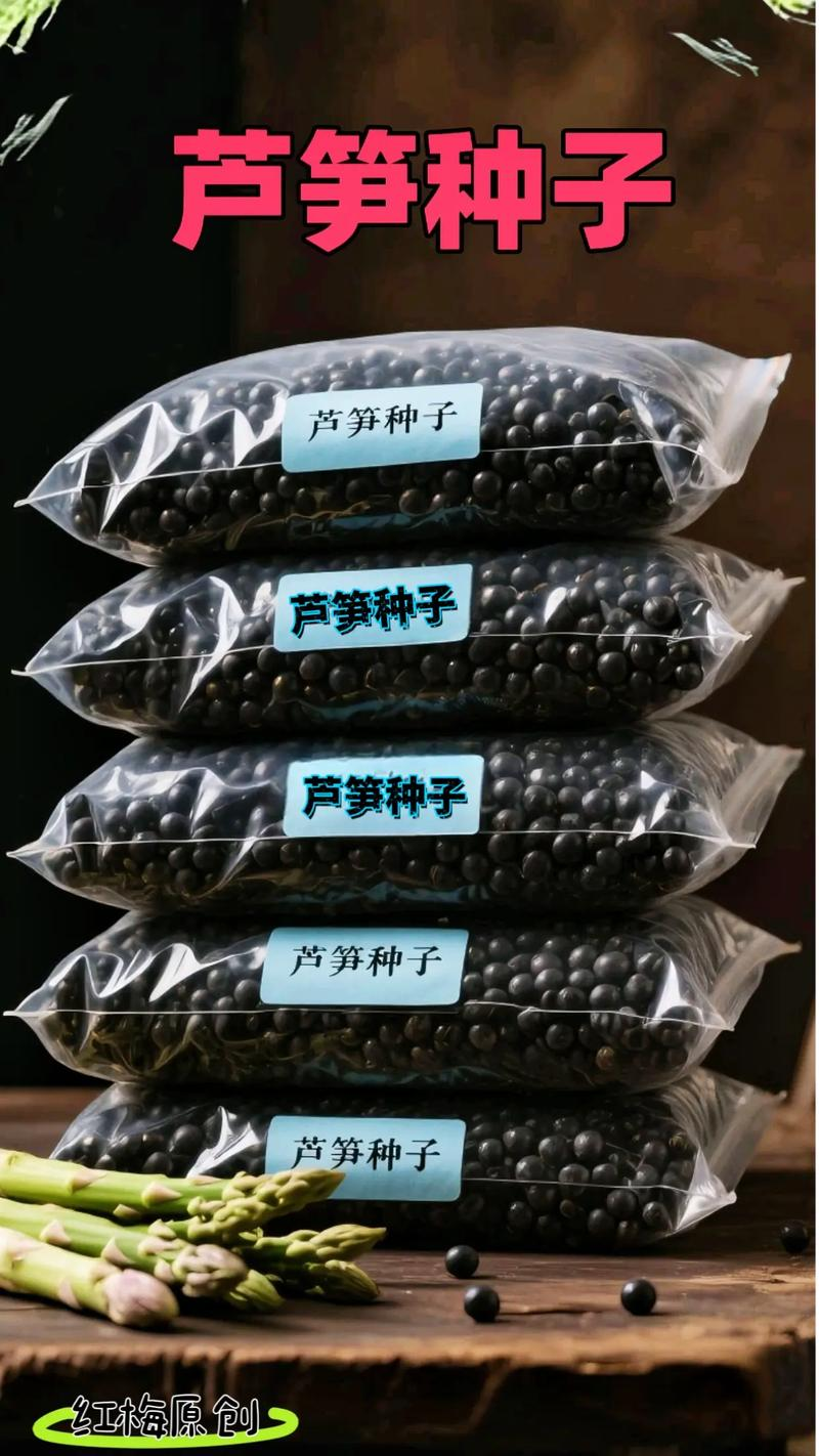 芦笋种子种植方法
