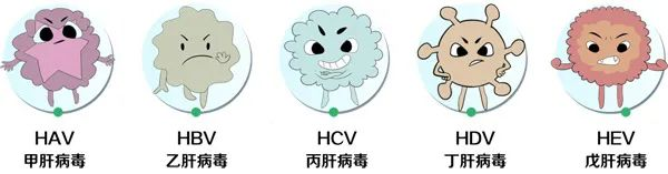 肝炎宣传知识