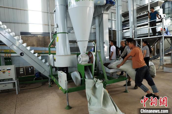 花椒的种植方法