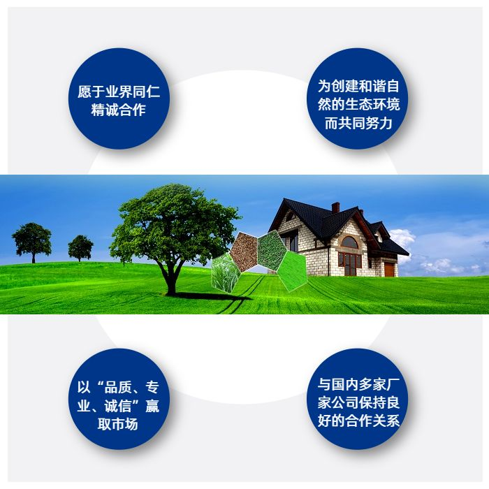 波斯菊种子的种植方法