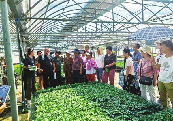 温室大棚种植技术