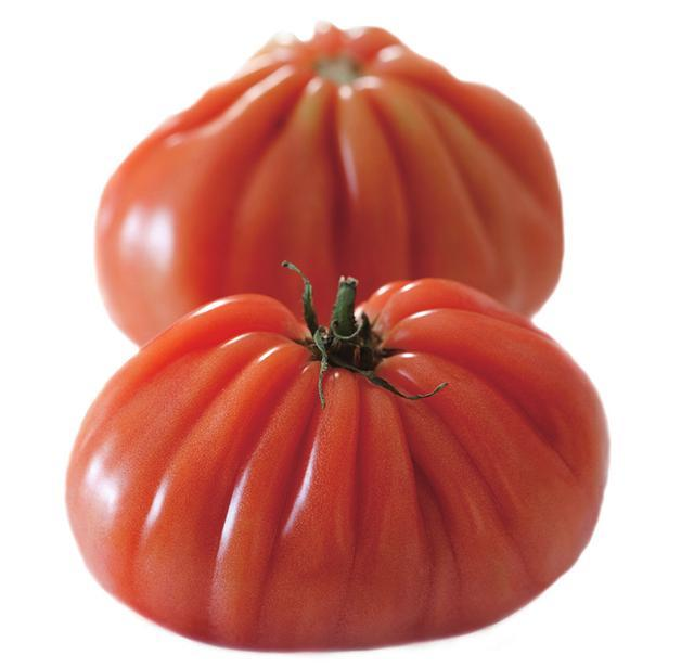 普罗旺斯番茄种植技术