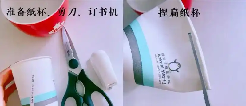 火龙果籽种植方法会长果吗