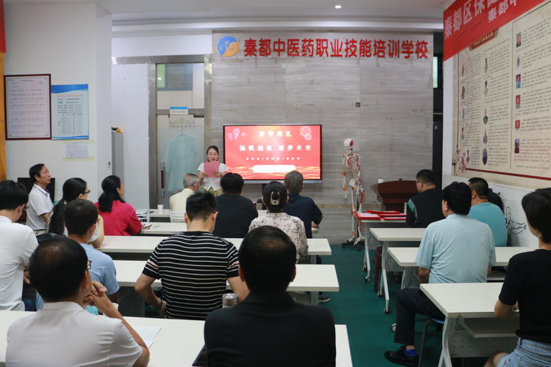 中医药知识与技能培训总结